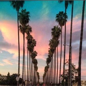 Meet your Posher, Kris